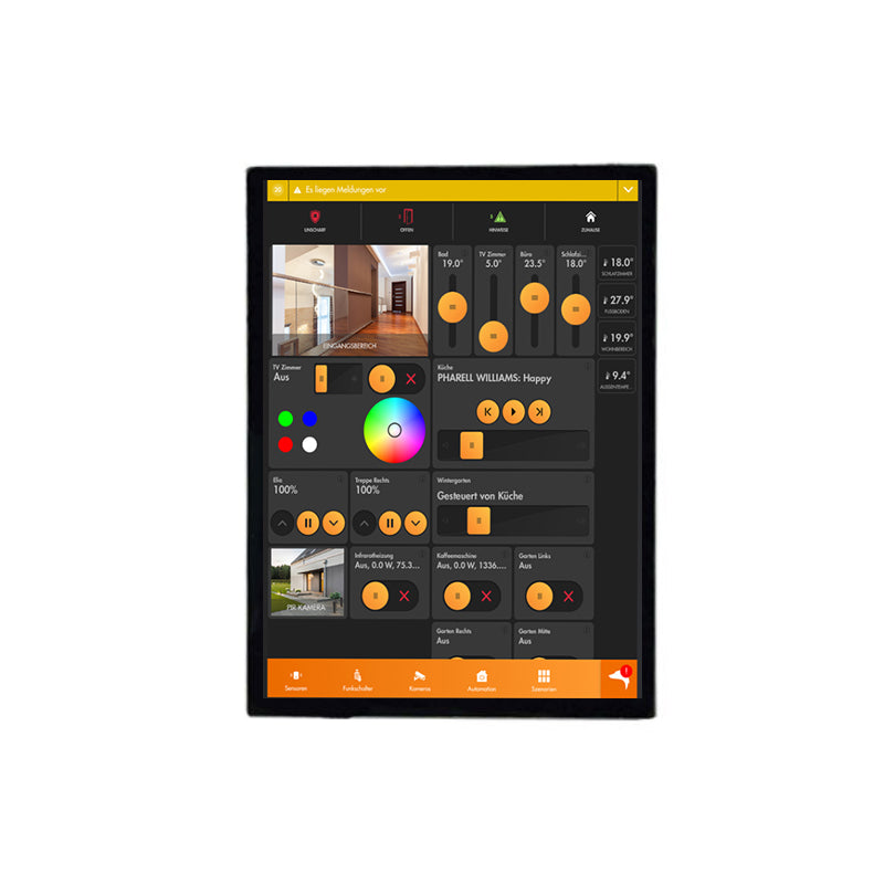 2.42 Inch AMOLED Display 450×600 SPI/QSPI/MIPI Interface 850 Nits High Brightness Screen For Digital Devices AMOLED Display