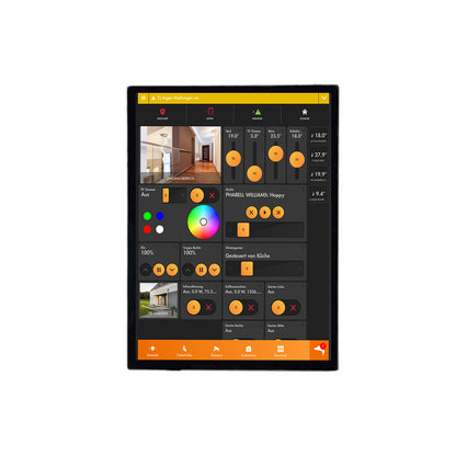 2.42 Inch AMOLED Display 450×600 SPI/QSPI/MIPI Interface 850 Nits High Brightness Screen For Digital Devices AMOLED Display