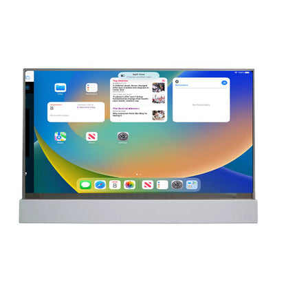 30 Inch AMOLED LCD Display 1366×768 HDMI Capacitive Touch Screen For Commercial Display
