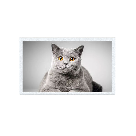 G070Y2-T02 7.0 Inch 800x480 RGB TFT LCD Panel For Car Display And Industry