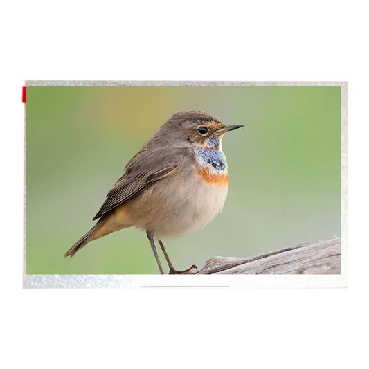 TM070RDHG25 7 Inch 800x480 LVDS TFT LCD Display Screen For Industrial